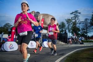 BIB: 
                            <button type="button" onclick="openModal(26541954)" class="btn btn-primary btn-sm float-right btn-popup" data-toggle="modal" data-target=".modal-high-quality">
                        <i class="fas fa-shopping-cart"></i> Add to Cart
                    </button>
                                            <button type="button" onclick="isThisMe(26541954, true)" class="btn btn-success btn-sm float-right btn-popup btn-isme hidden" data-toggle="tooltip" data-placement="bottom" title="นี่คือรูปของคุณใช่ไหม คลิกที่นี่เพื่อเอาเข้าอัลบั้ม">
                        <i class="fas fa-plus"></i> Add to album
                    </button>
                    <button type="button" onclick="isThisMe(26541954, false)" class="btn btn-warning btn-sm float-right btn-popup btn-isnotme hidden">
                        <i class="fas fa-ban"></i> Remove from album
                    </button>